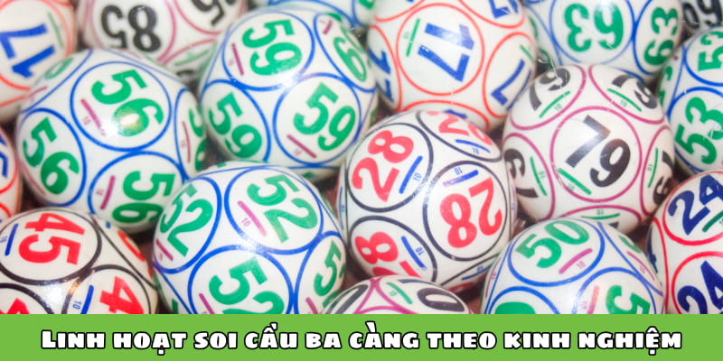 Linh hoạt soi cầu ba càng theo kinh nghiệm